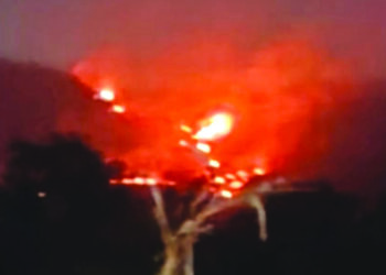 रोह्यात वणव्याची मालिका सुरूच