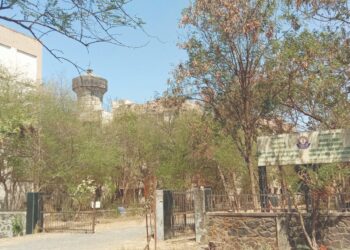 सीमा शुल्क विभागाच्या इमारतीकडे दुर्लक्ष