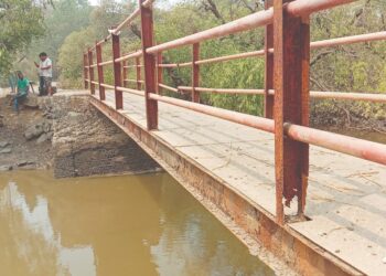 नव्या साकवांचे बांधकाम करण्यासाठी पुढाकार घ्यावाः ठाकूर