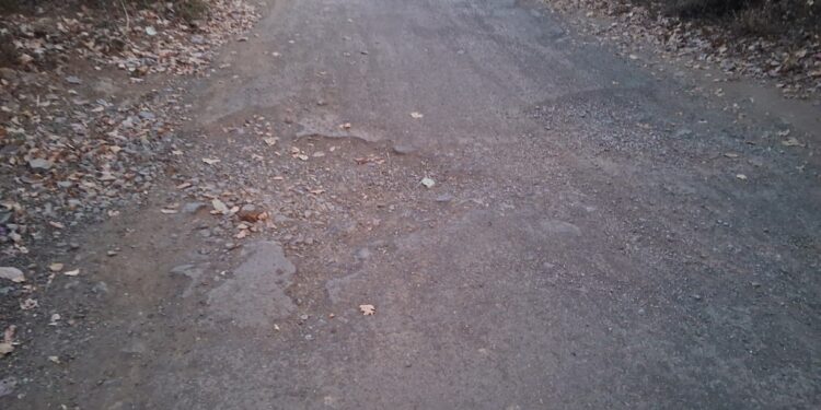 ग्रामीण रस्ते खड्ड्यात