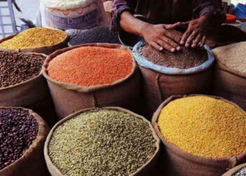 रसायनीत गावठी कडधान्यांना मागणी