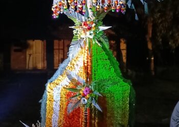 होळी रे होळी… जिल्ह्यात पाच हजार होळ्या उभारणार