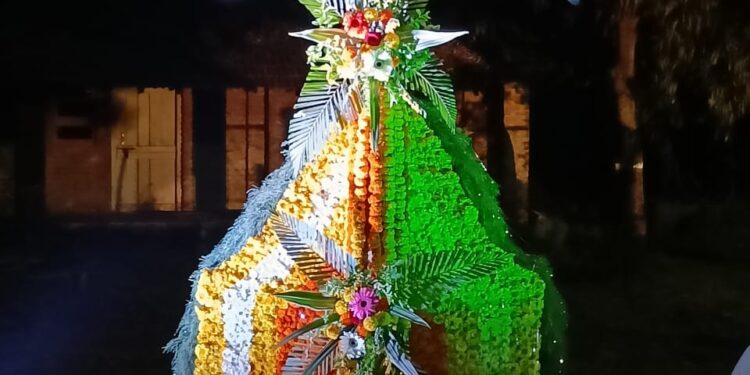 होळी रे होळी… जिल्ह्यात पाच हजार होळ्या उभारणार