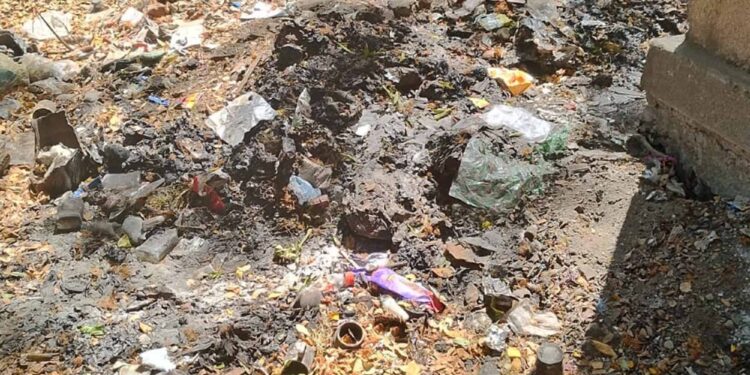 सरकारी मालमत्तेत कचर्‍याचे ढीग