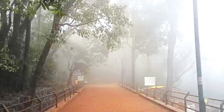 कडाक्याच्या थंडीमुळे माथेरान गारठले