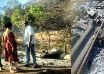 पोलादपूरमध्ये वणव्याचा हाहाकार