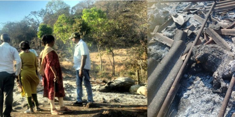 पोलादपूरमध्ये वणव्याचा हाहाकार