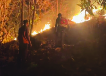 कुंभारशेत डोंगराला वणवा