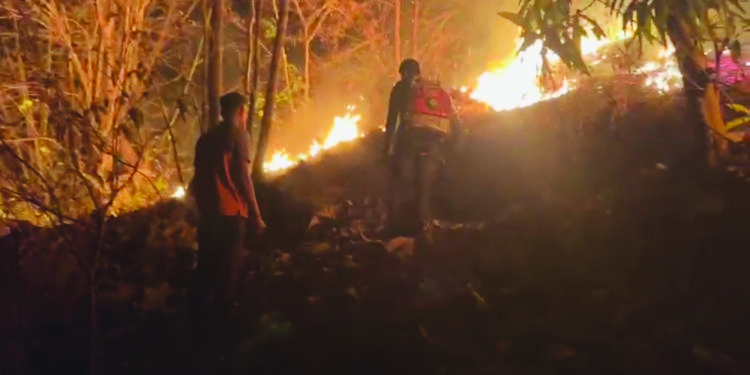 कुंभारशेत डोंगराला वणवा