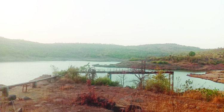 पुनाडे धरणाने गाठला तळ