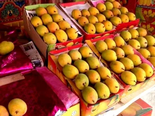 हापूस आंब्याच्या नावाने फसवणूक