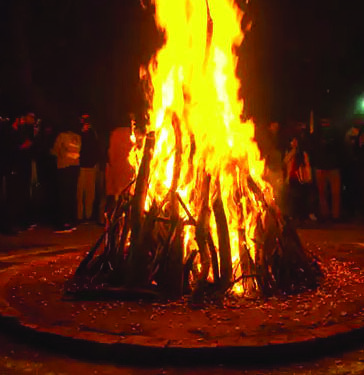पर्यावरण पूरक होळी साजरी करा