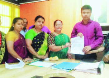 ई रिक्षांची संख्या वाढवण्याची मागणी