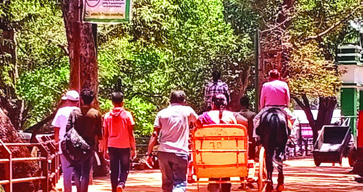 रखडलेल्या समस्यांचा निवडणुकीवर परिणाम?