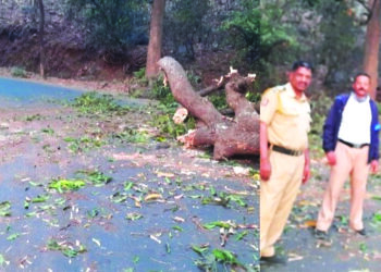 नागोठणे पोलिसांची कार्यतत्परता