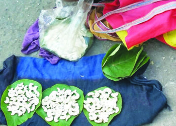 ओल्या काजुगराची स्वस्ताई