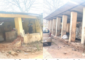 पोलादपूर मच्छीमार्केट बनले वाहनतळ