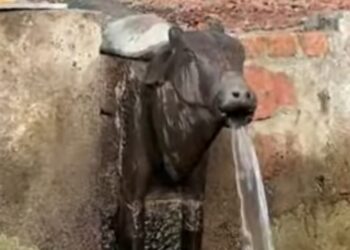 गायमुखातून वाहते बारमाही पाणी