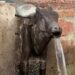 गायमुखातून वाहते बारमाही पाणी