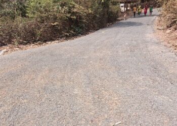 द्रोणागिरी रस्त्याचे काम प्रगतीपथावर