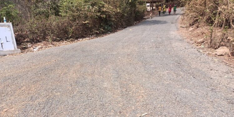 द्रोणागिरी रस्त्याचे काम प्रगतीपथावर