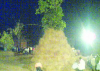 दुर्गुणांची आहूती देऊन होळी साजरी करा