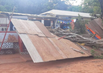 रेस्टॉरंटवर कोसळले झाड