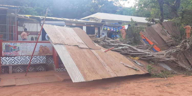 रेस्टॉरंटवर कोसळले झाड