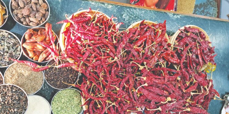 यंदा कर्जतच्या मिरचीला अधिक पसंती