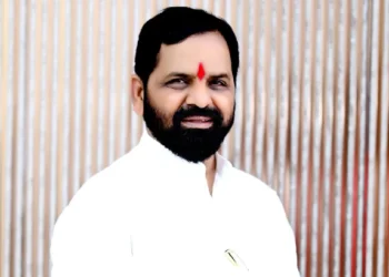 आगामी विधानसभेत आमच्यावरही लक्ष द्या: गोगावले