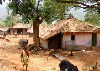 कोकणचा कॅलिफोर्निया मात्र; आदिवासी, धनगरवाड्या विकासापासून वंचितच