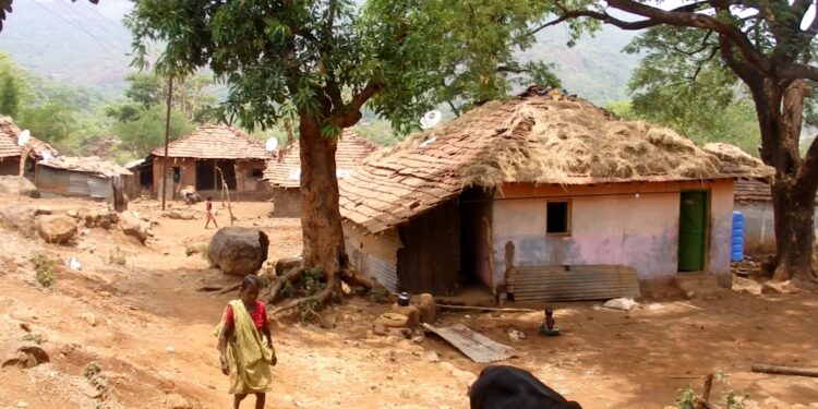 कोकणचा कॅलिफोर्निया मात्र; आदिवासी, धनगरवाड्या विकासापासून वंचितच