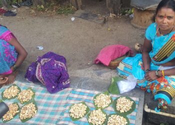 काजुगरामुळे आदिवासी महिलांना रोजगार