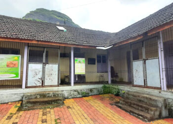 सुधागडात पशुधन वार्‍यावर