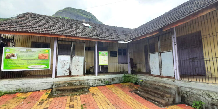 सुधागडात पशुधन वार्‍यावर