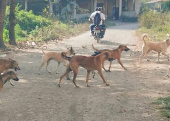 पाईपलाईन फुटून हजारो लीटर पाणी वाया