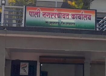 नोटरींच्या कार्यक्षमतेवर प्रश्‍नचिन्ह