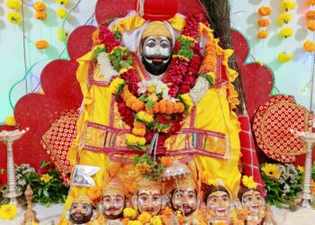 म्हसळ्यात धाविरदेवाची यात्रा