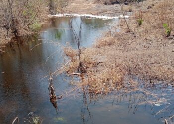 वनराई बंधारे ठरताहेत वरदान