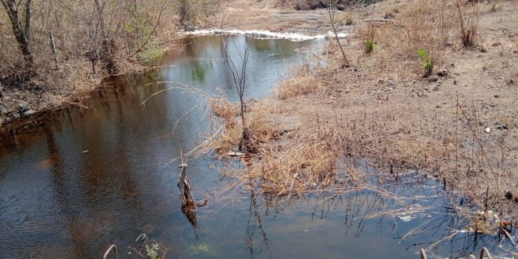 वनराई बंधारे ठरताहेत वरदान
