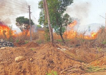 बांधावरील वणवे वृक्षांच्या मुळावर