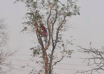 आदिवासी महिलेची पोटासाठी कसरत