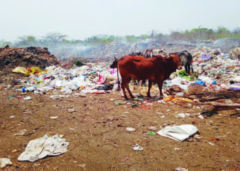 माणगावचा खतनिर्मिती प्रकल्प रखडला