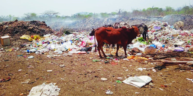 माणगावचा खतनिर्मिती प्रकल्प रखडला