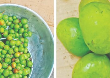 खवय्यांना करवंद व कैर्‍यांची मेजवानी