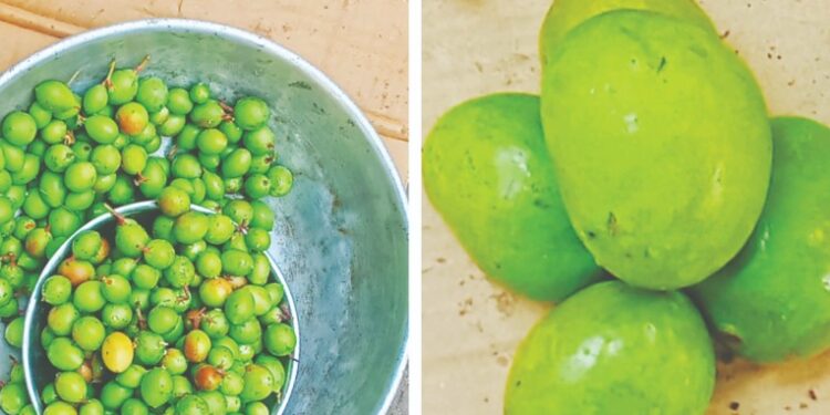 खवय्यांना करवंद व कैर्‍यांची मेजवानी