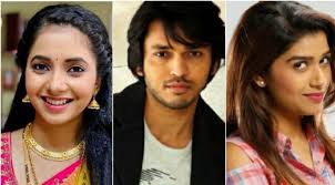 प्रचाराच्या रणधुमाळीत सेलिब्रिटींची मांदियाळी