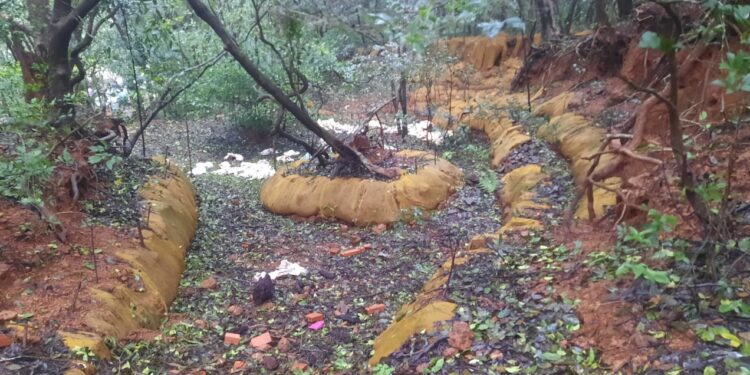 माथेरानच्या जंगलात सिमेंट पिशव्यांचा खच