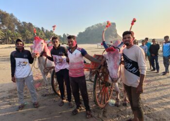 बैलगाडी शर्यतीत कर्नाटकी फंडा