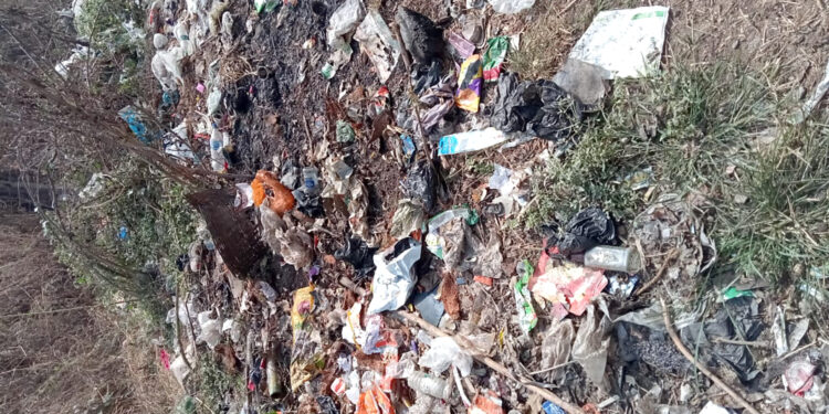 ऐनघर ग्रामपंचायत हद्दीत कचर्याचे साम्राज्य